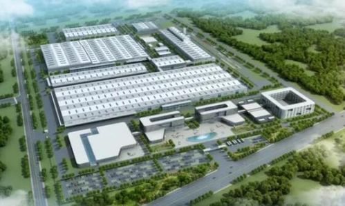 活力萊西 產業園區聯動與政務窗口齊轉，強化聯動提效率激活汽車銷售鏈